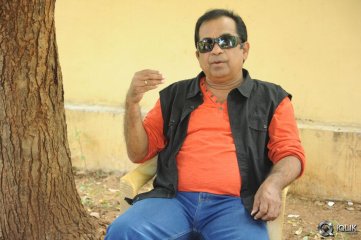 Brahmanandam About Alludu Seenu Movie